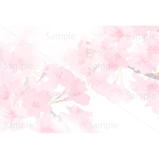 淡彩風の桜の背景のイラスト素材