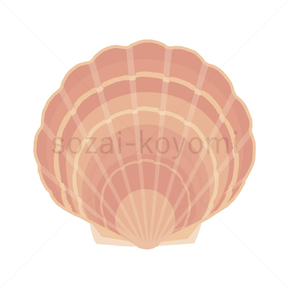 二枚貝 素材ごよみ