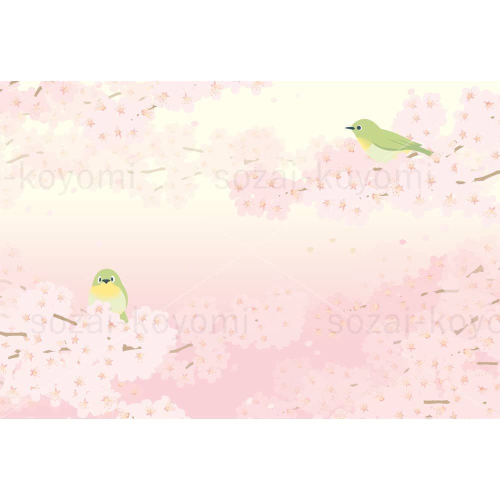 桜と2羽のメジロ（横）のイラスト素材