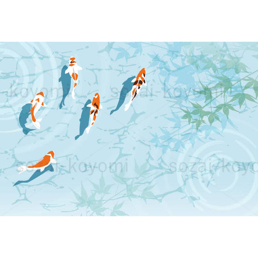 池を泳ぐ錦鯉（横）のイラスト素材