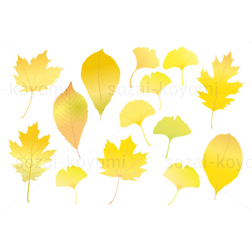 黄色の落ち葉セットのイラスト素材