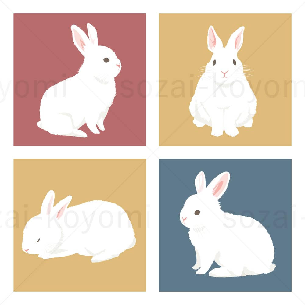 色々な白ウサギのイラスト素材