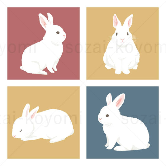 色々な白ウサギのイラスト素材