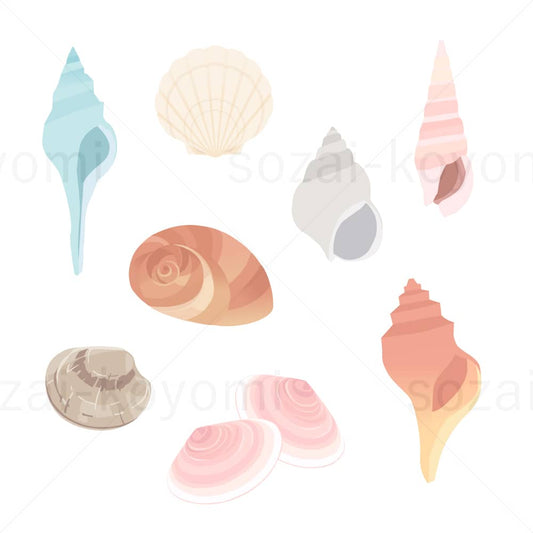 色々な貝殻のイラスト素材